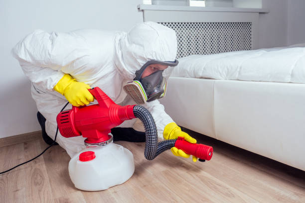 Professional Pest control in Worth, IL